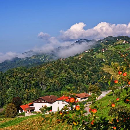 Farm Stay Pirc Laško Екстериор снимка