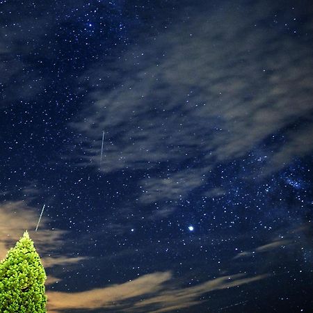 Farm Stay Pirc Laško Екстериор снимка