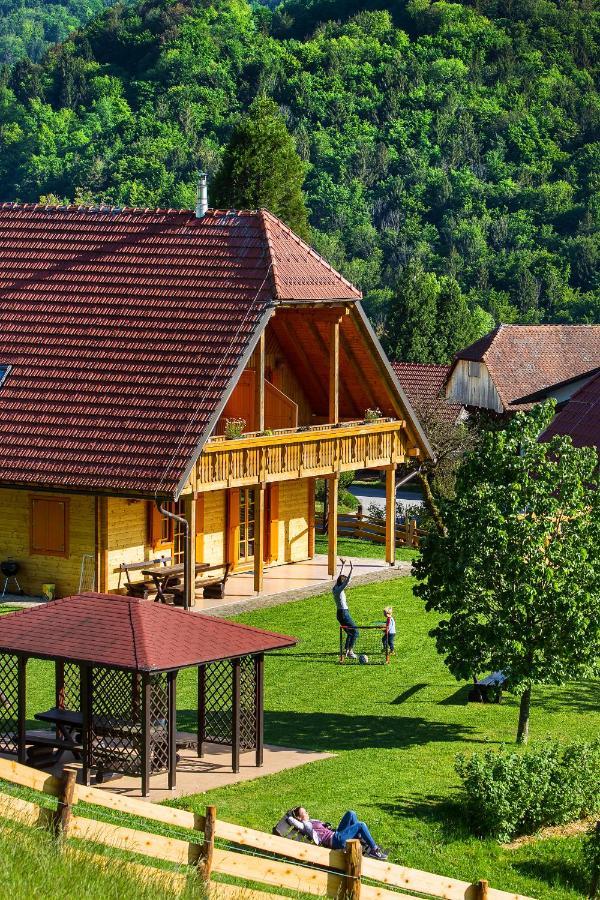 Farm Stay Pirc Laško Екстериор снимка