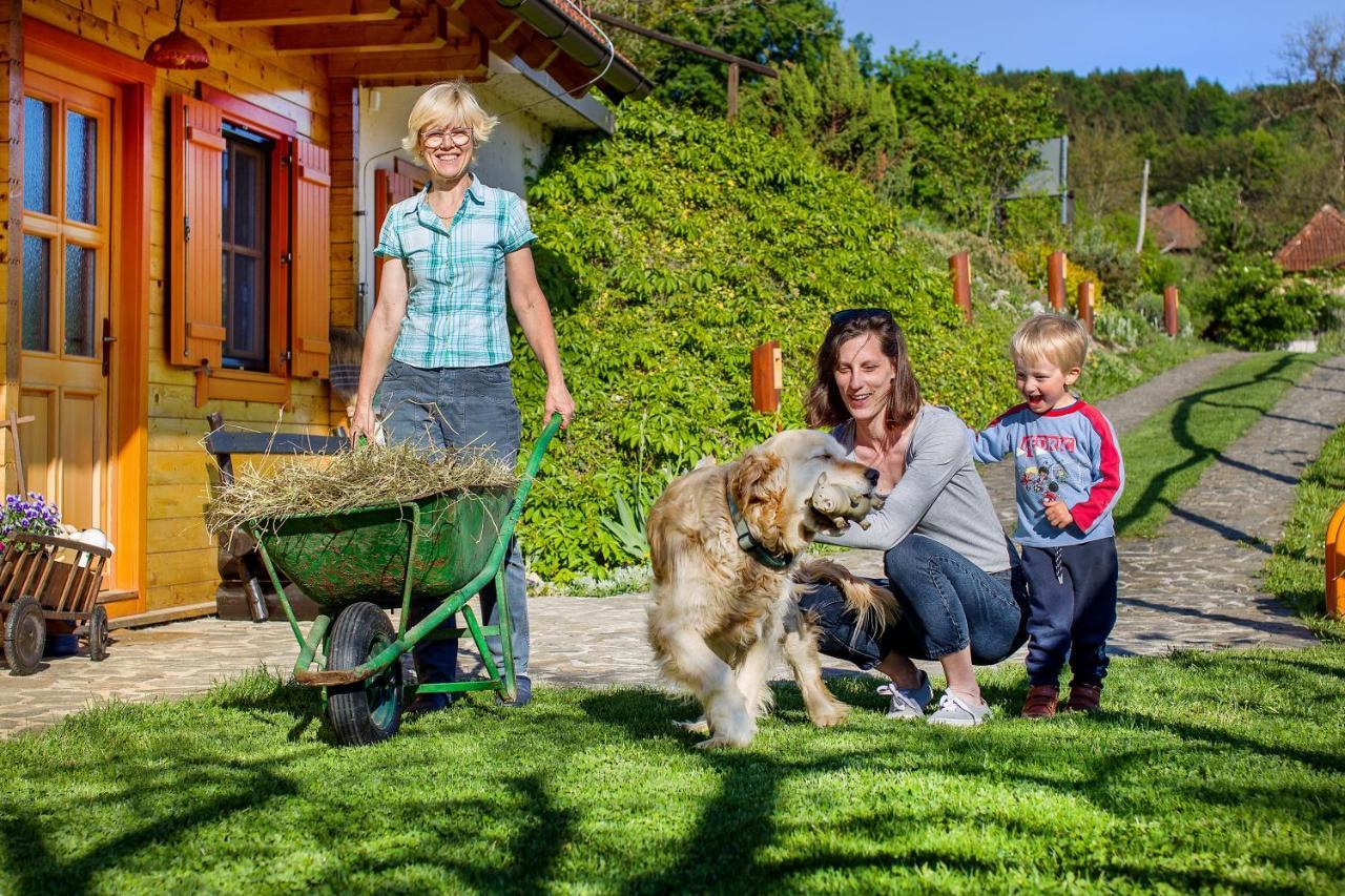 Farm Stay Pirc Laško Екстериор снимка