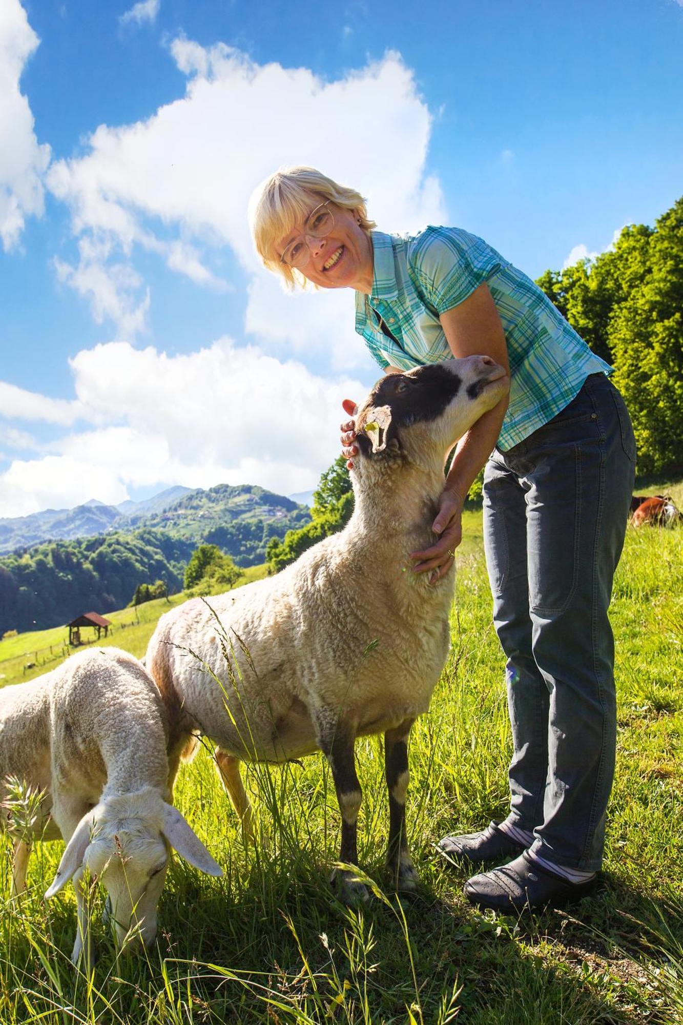 Farm Stay Pirc Laško Екстериор снимка