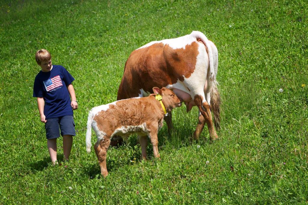 Farm Stay Pirc Laško Екстериор снимка